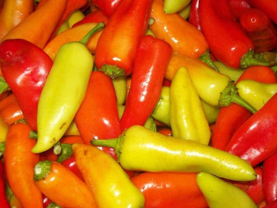 When to pick banana peppers
