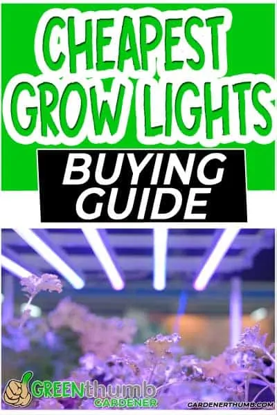 cheapest led grow lights