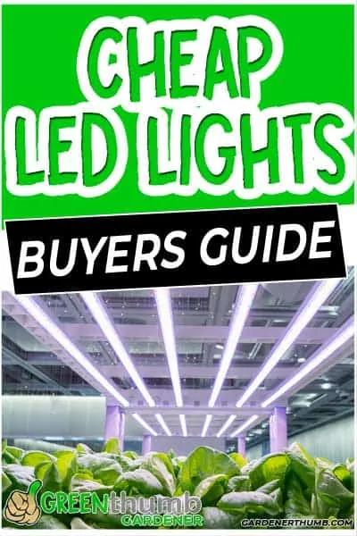 LED grow lights