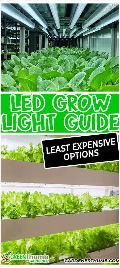 LED grow light