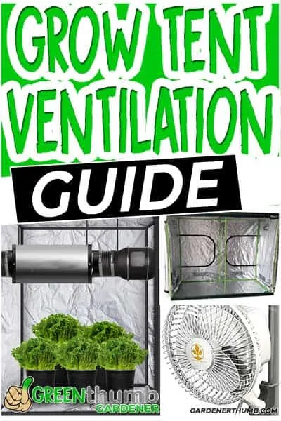 How to Set Up Grow Tent Ventilation