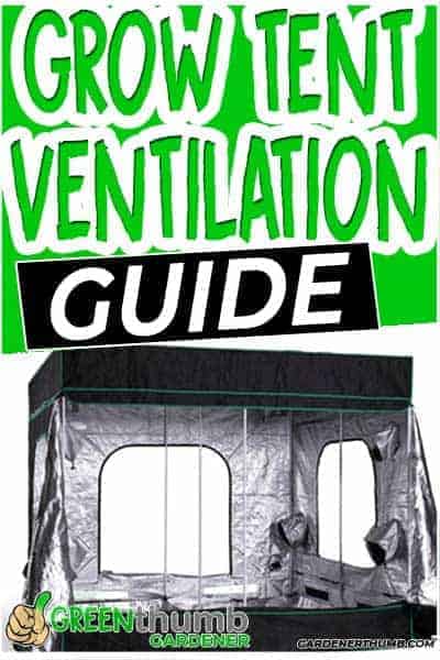 How to Set Up Grow Tent Ventilation