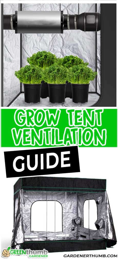 Grow Tent Ventilation Setup | Green Thumb Gardener