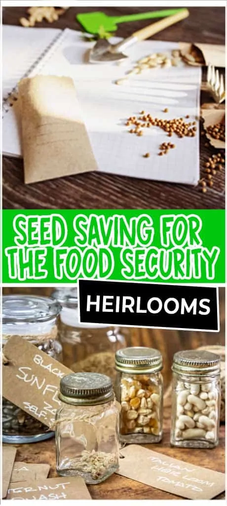 heirloom seeds