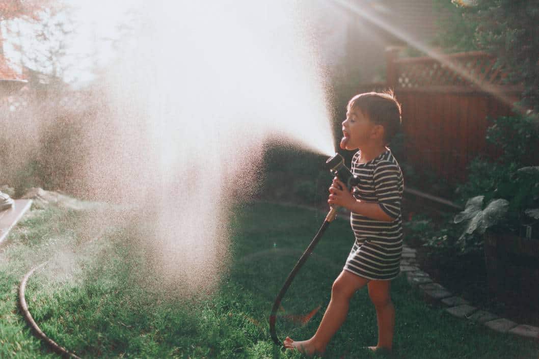 Best Garden Hose Reel [Buyer's Guide]