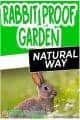 Keep Rabbits Out of Garden | 10 Tips The Natural Way | Green Thumb Gardener