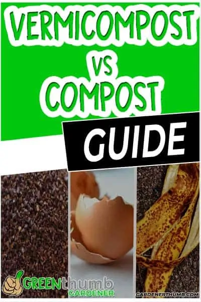 compost vs vermicompost