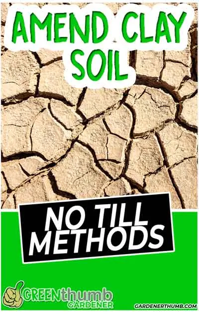 how to amend clay soil without tilling