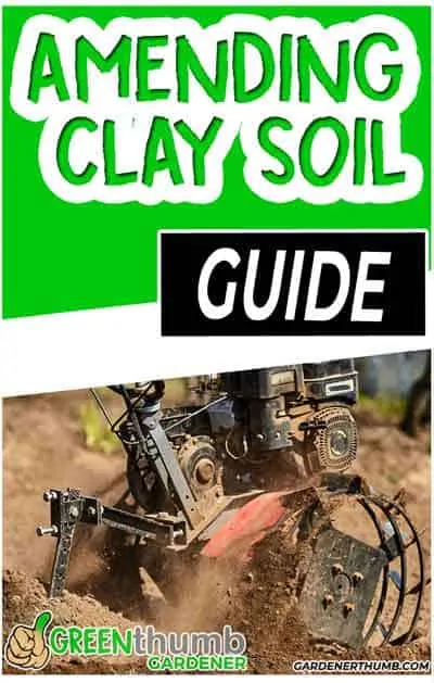 amend clay soil