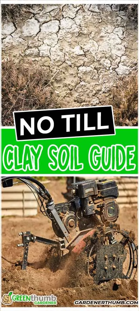 amend clay soil guide