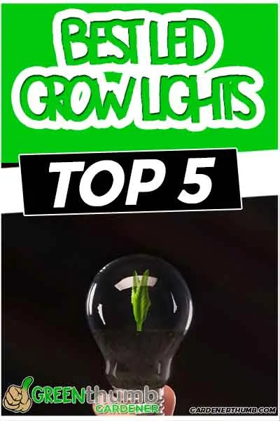 best led grow light