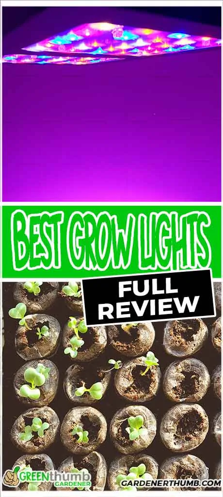 grow light gardening