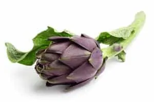 artichoke