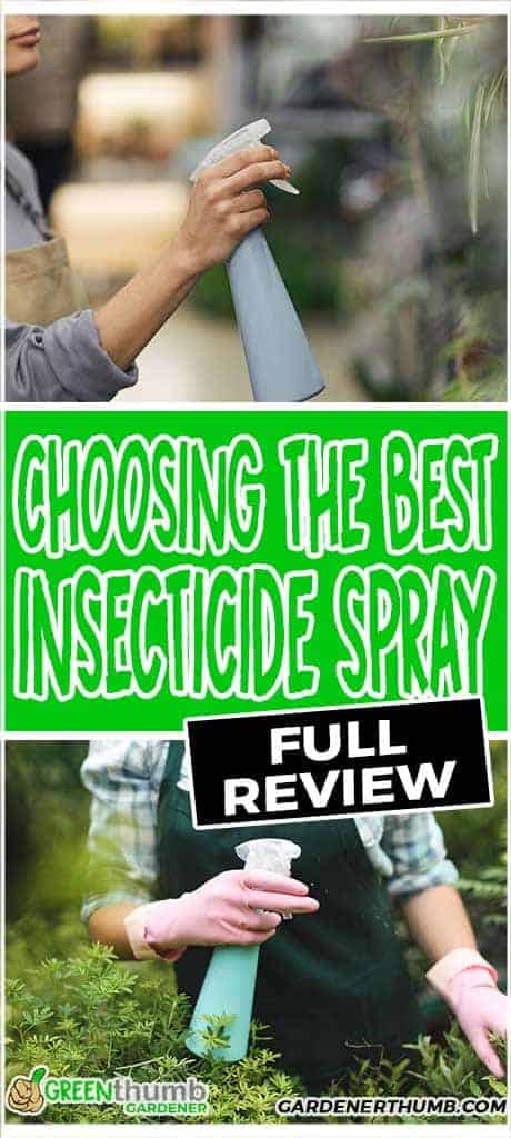 best insecticide spray for vegetable garden