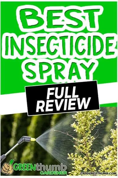 insecticide spray