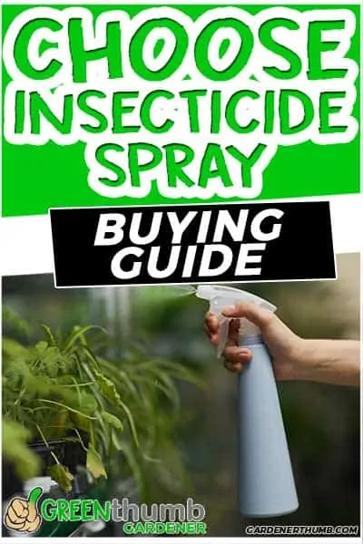spray for insects