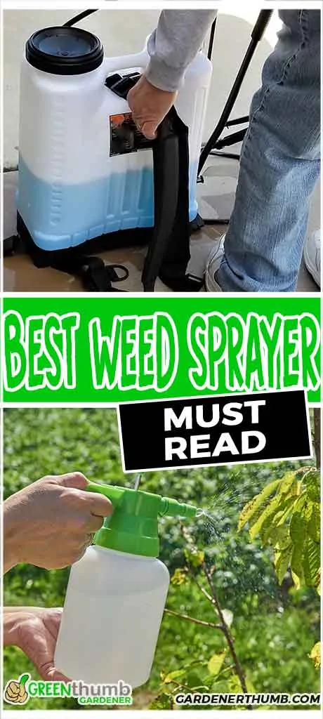 best weed sprayer