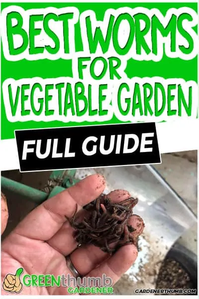 worms for vegetables