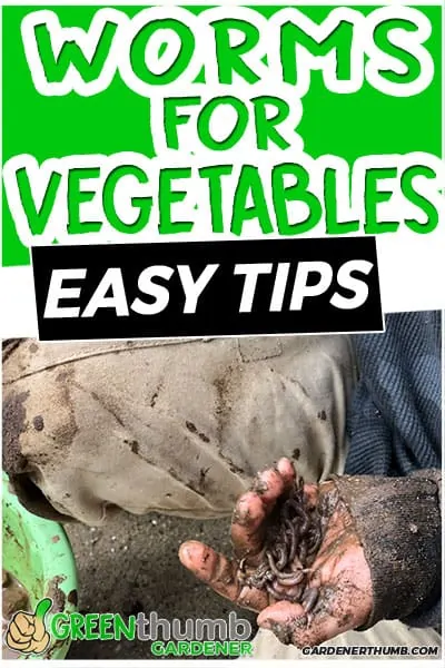 worms for vegetable garden