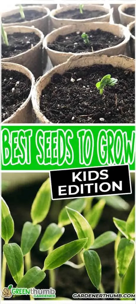 grow seeds in a cup