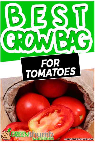 grow bag for tomatoes
