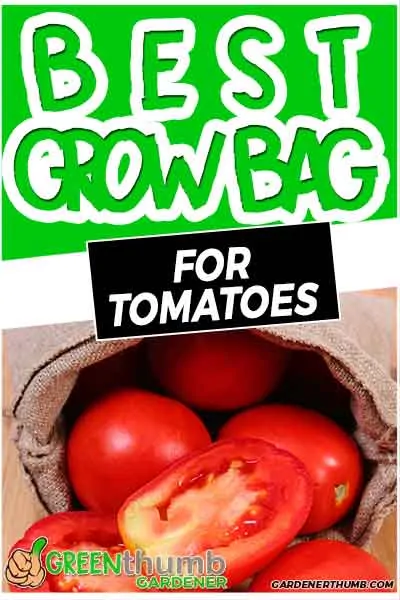 grow bag for tomatoes