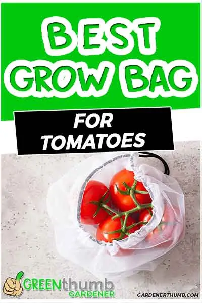 best size for grow bag