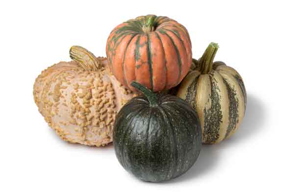 Growing Pumpkins In Raised Beds [Best Guide] | Green Thumb Gardener