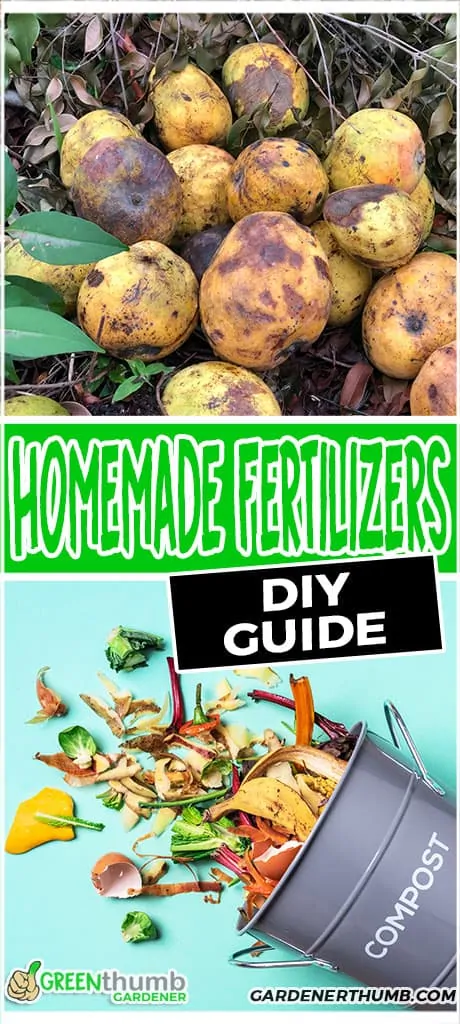 homemade fertilizers for your garden