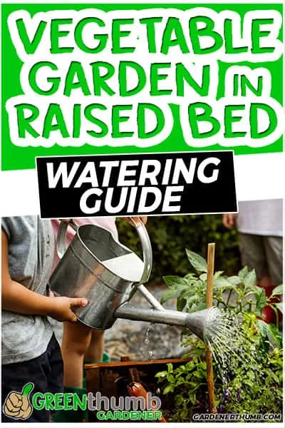 watering vegetable garden