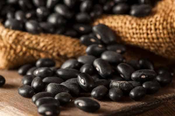 Growing Black Beans Expert Tips [Beginner Guide]