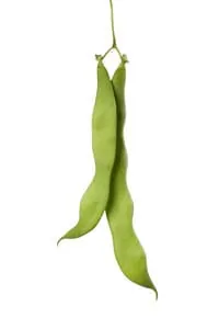 pole beans