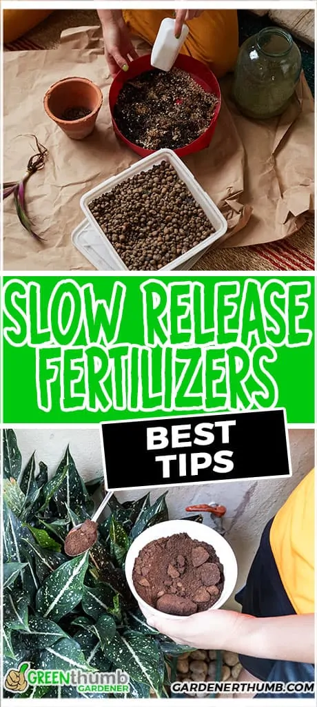 slow release fertilizer tips