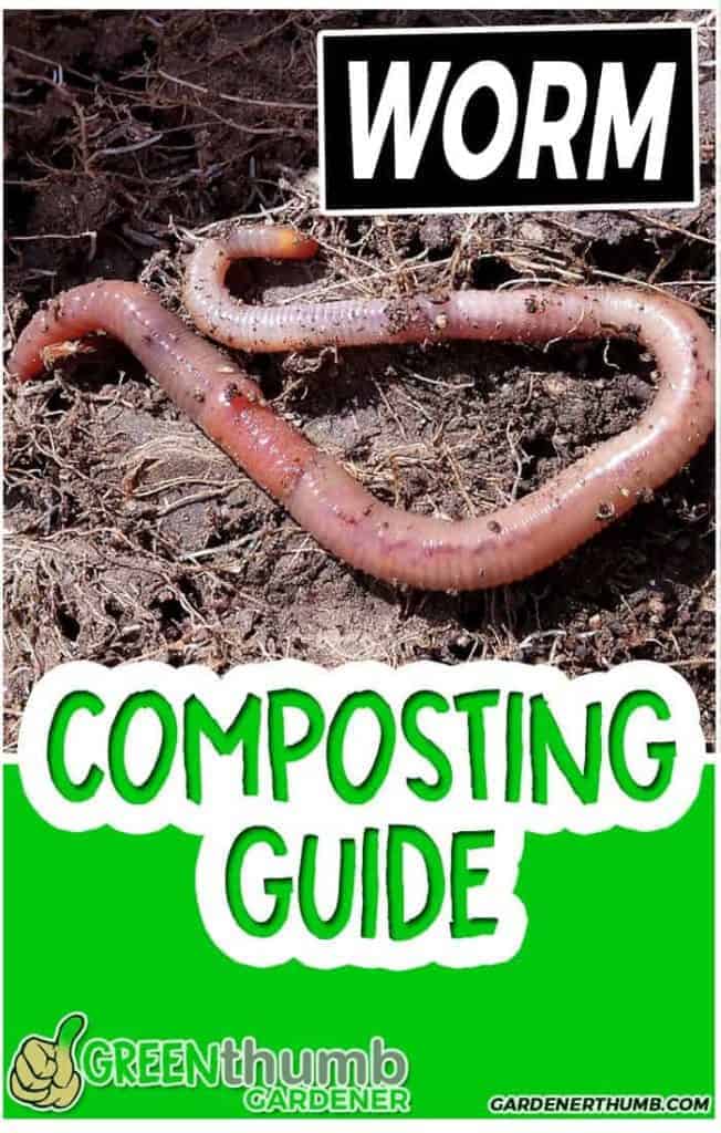Vermiculture Composting with Worms Guide Green Thumb Gardener