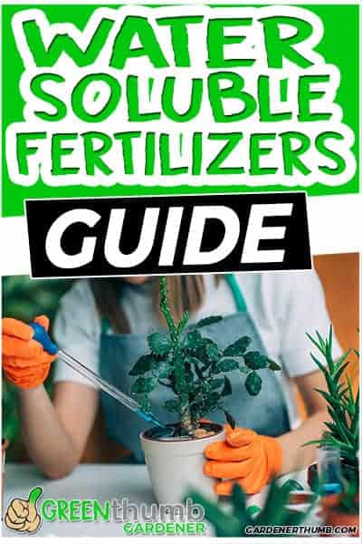 water soluble fertilizer