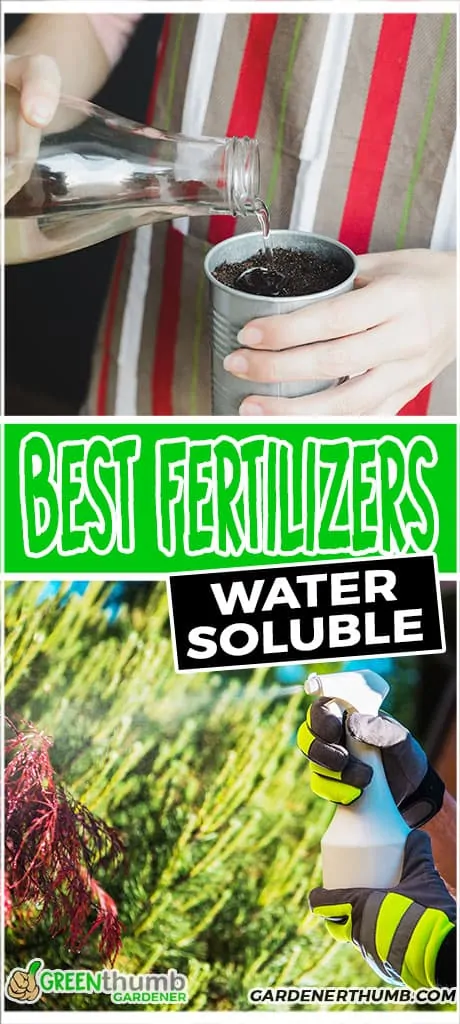 fertilizer water soluble