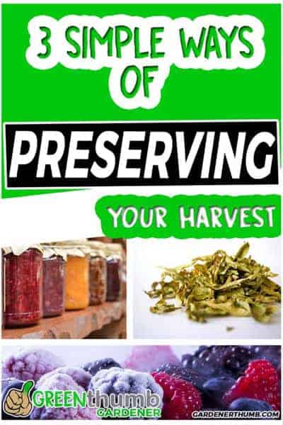 preserving foods