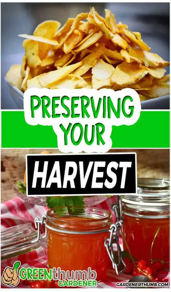 ways of preserving food