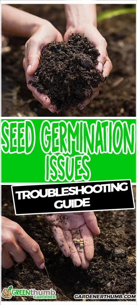 what to do seeds dont germinate