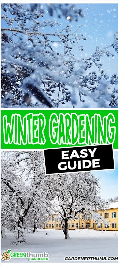 winter gardening tips