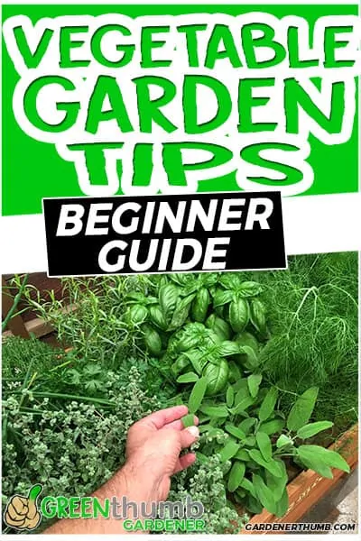 vegetable gardening tips