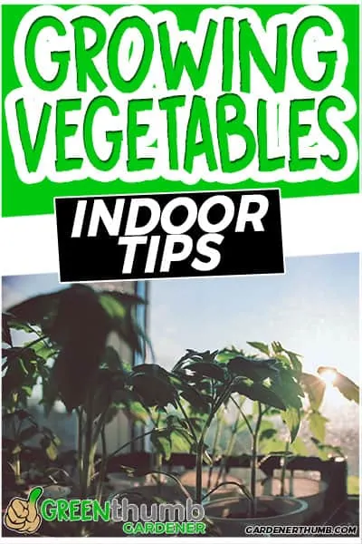 vegetable garden indoor