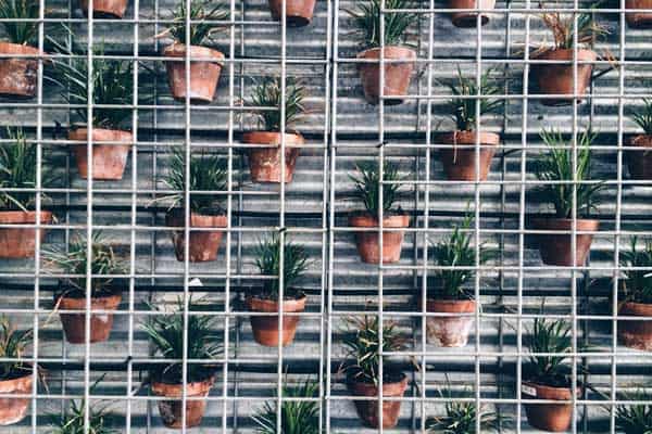 How To Build A Vertical Garden