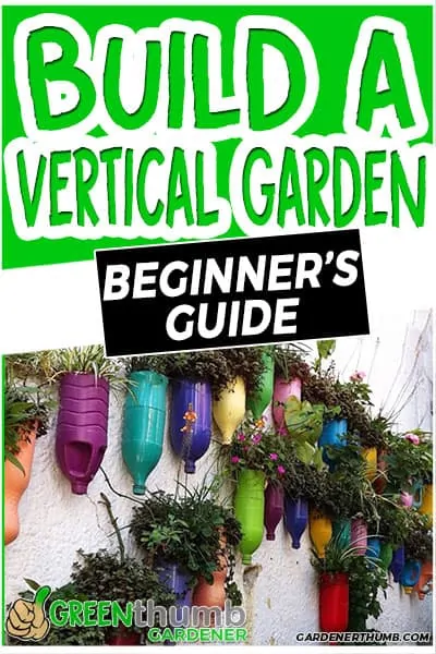 build a vertical garden