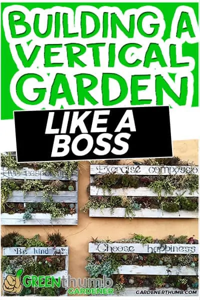 building a vertical garden like a boss