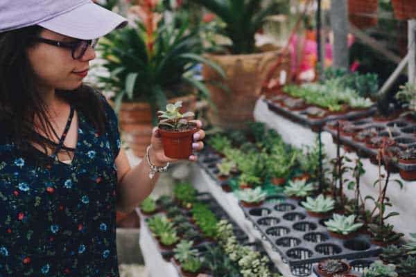 Vegetable Garden Ideas For Small Spaces [Top Tips]