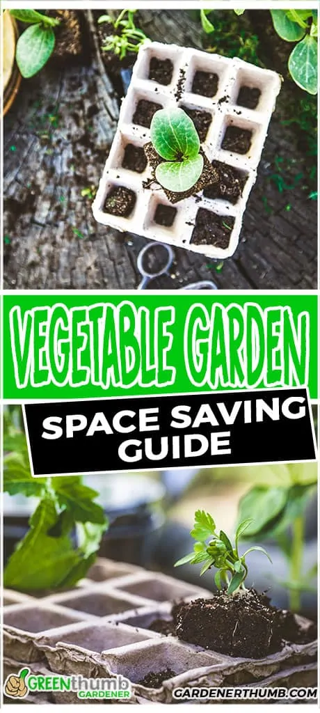 vegetable garden space saving guide