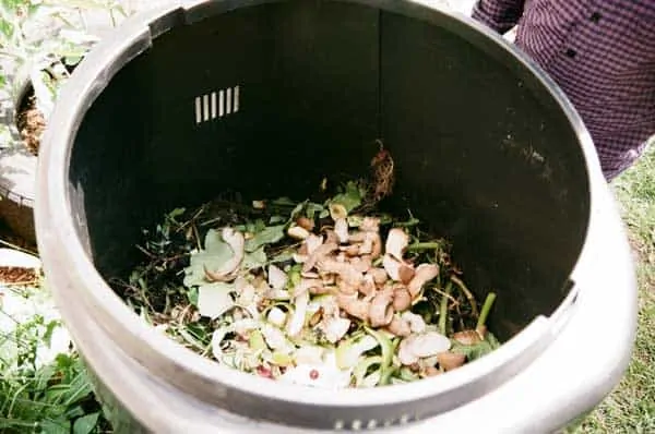 how to make a compost step by step