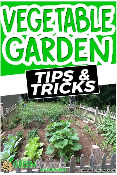 vegetable garden tips & tricks