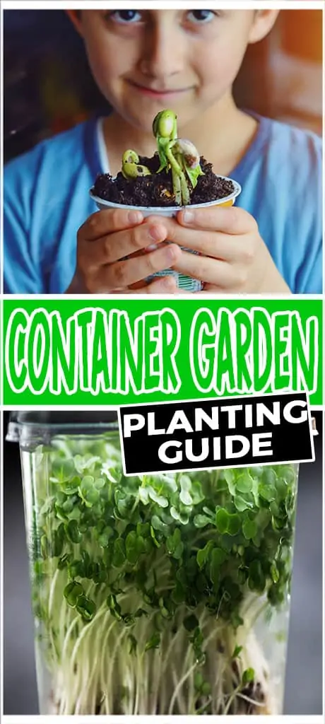 container garden planting guide